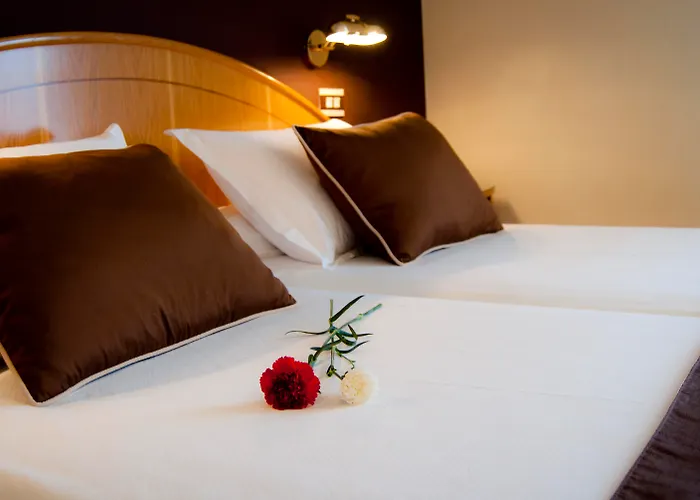 Zenit Dos Infantas Hotel Zamora