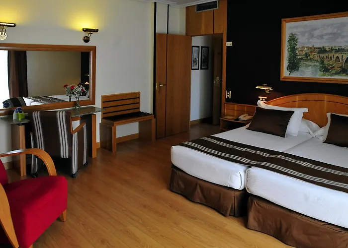 Hotel Zenit Dos Infantas Zamora